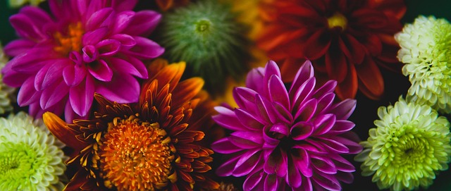 印象深刻 印象深刻