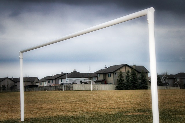 運動員與媒 運動員與媒