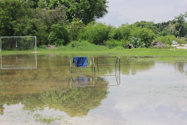 而前锋因西 而前锋因西