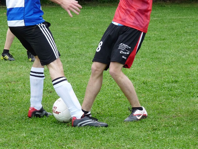 澳網賽場上 澳網賽場上