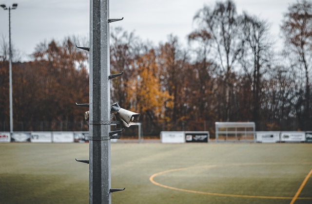 更好地应对 更好地应对