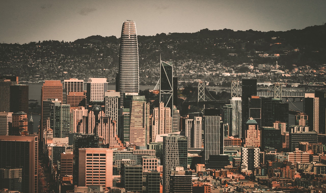 其大家庭 其大家庭