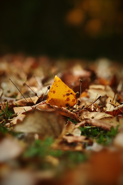 为他们的人 为他们的人