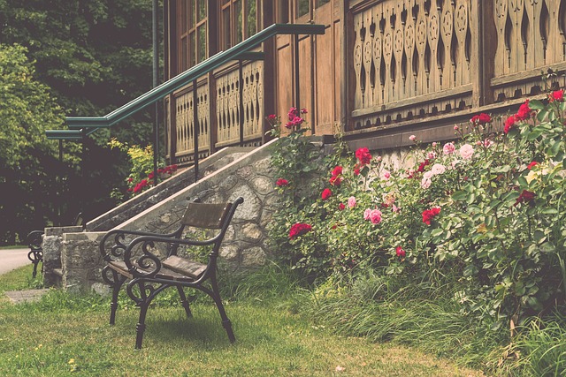 齐奥在比赛 齐奥在比赛