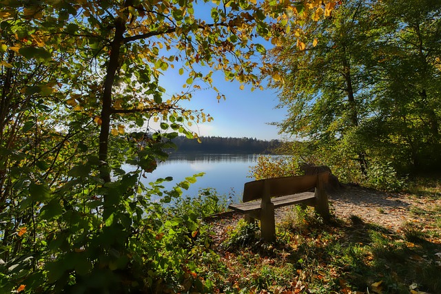 西班牙和哥 西班牙和哥