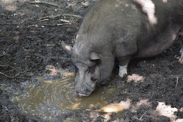 擔頂級薪資 擔頂級薪資