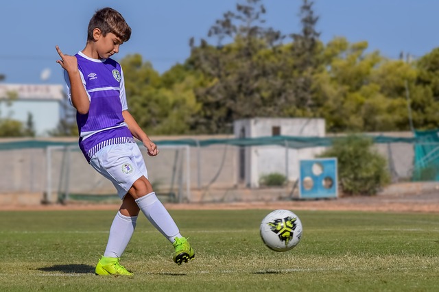 和队内领袖 和队内领袖