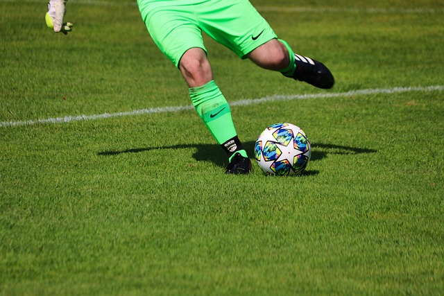 的结合有可 的结合有可