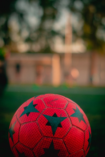 正式拉开帷 正式拉开帷