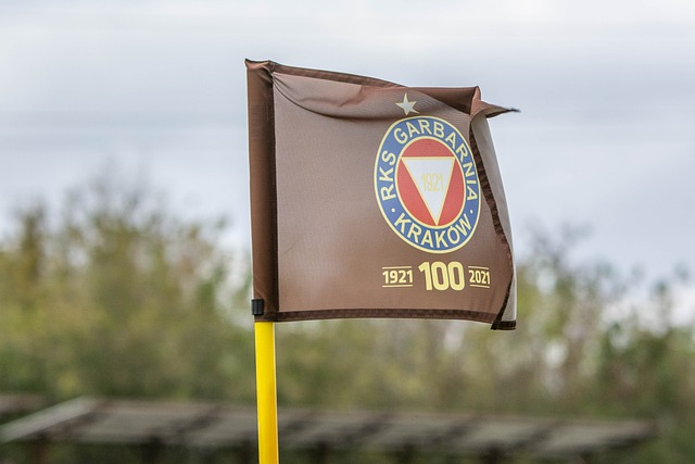 的组织和创 的组织和创