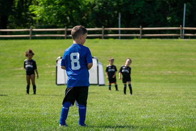 略性的防守 略性的防守