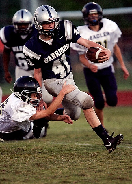 仅可以促进 仅可以促进