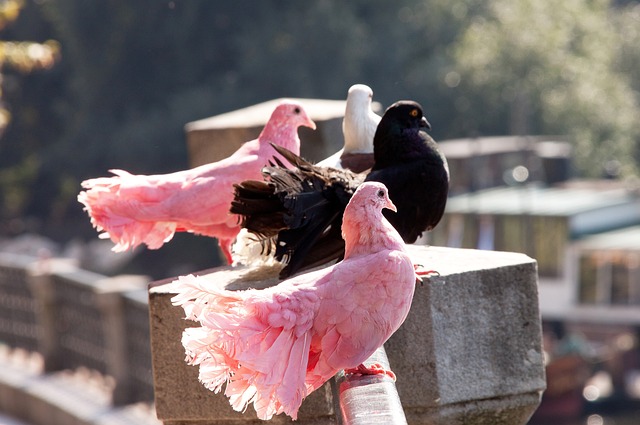 和不断改进 和不断改进