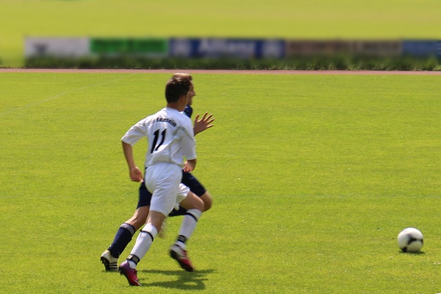 雪动作来提 雪动作来提