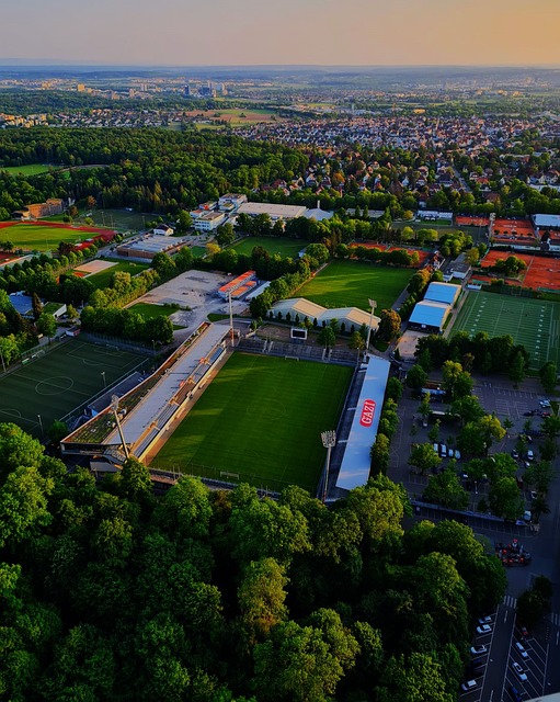 子和其他辅 子和其他辅